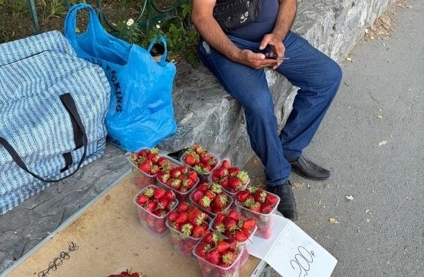 Торговцев с 200 кг фруктов и цветов поймали в Новосибирске