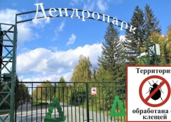 В Новосибирске на один день закроют Дендрологический парк