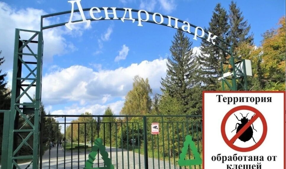 В Новосибирске на один день закроют Дендрологический парк