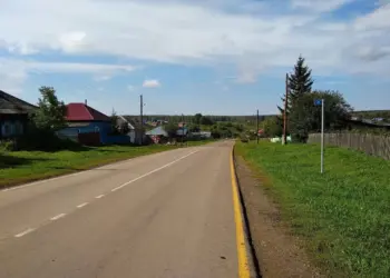 В Новосибирской области исчезли ещё два посёлка