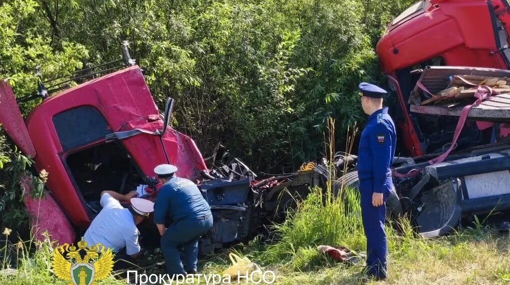 Под Новосибирском столкновение пяти авто унесло жизни трёх человек