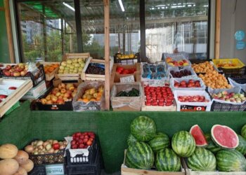 На Чёрное море ни ногой: Новосибирскстат рассказал об изменении потребительских цен в регионе