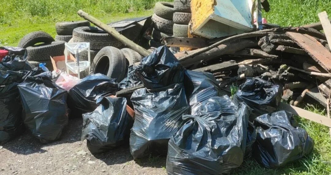 Новосибирские спасатели очистили от мусора озеро в Кировском районе
