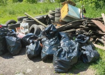 Новосибирские спасатели очистили от мусора озеро в Кировском районе