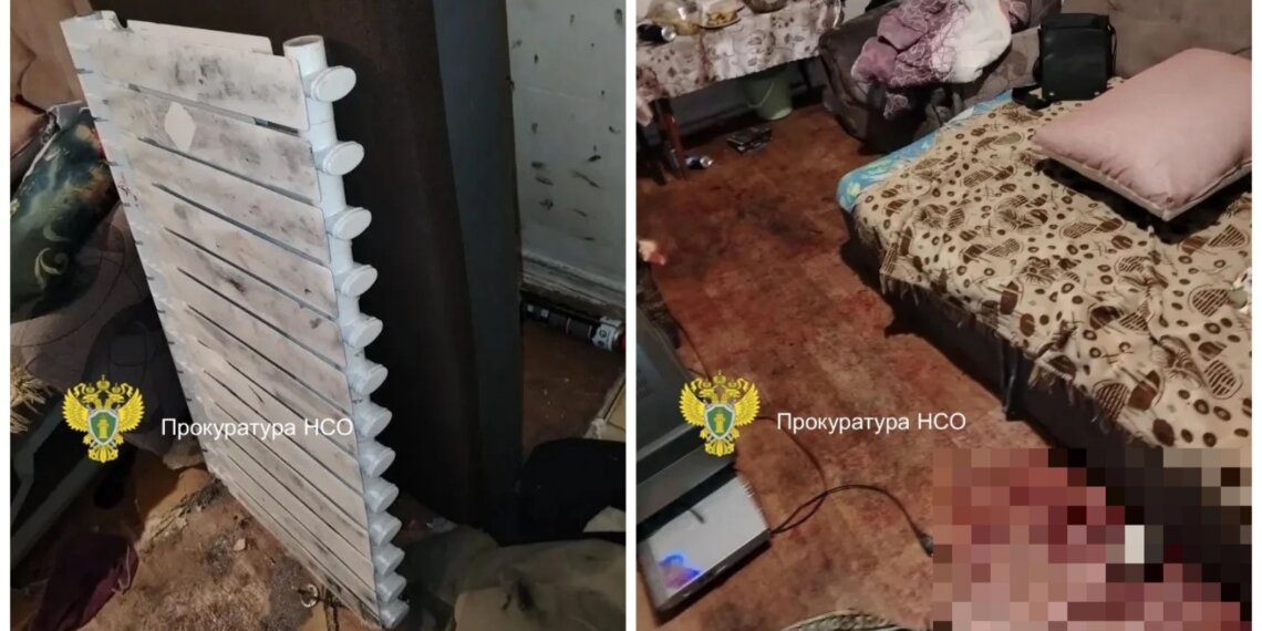 Бердчанин отправится под суд за убийство соседа батареей