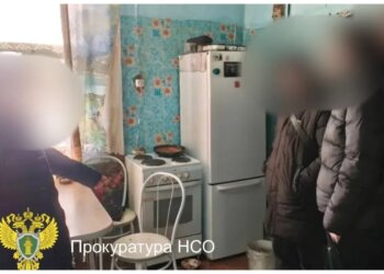 Жительница НСО по пьяни пырнула сожителя на глазах у ребёнка