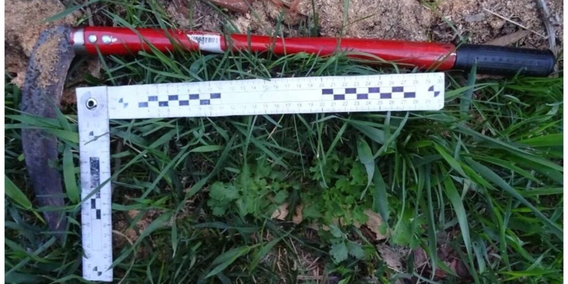 Семейная пара из Сибири получила срок за убийство подруги садовым инвентарём