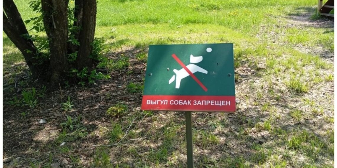 Два района Новосибирска озеленяют «по гарантии»: тысячи деревьев и кустарников