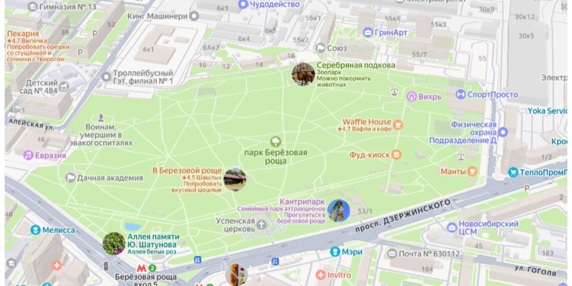 В Берёзовой роще в День города пройдёт ярмарка «Активный город»