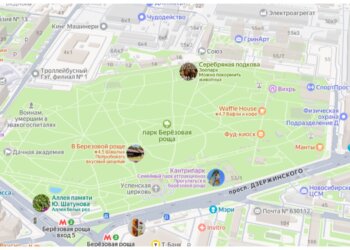 В Берёзовой роще в День города пройдёт ярмарка «Активный город»