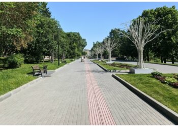 Филиалы Музея Новосибирска проведут бесплатные экскурсии и игры в День города
