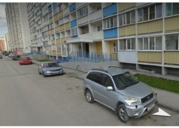 Пьяный новосибирец натравил собаку на соседа из-за замечания