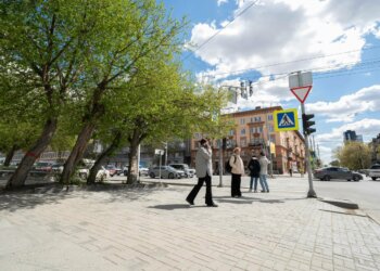 Депутаты и чиновники возглавили рейтинг самых переоценённых профессий в Новосибирске