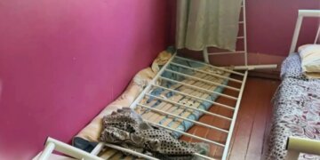 Пьяный дебошир напал на лагерь «Орлёнок» в Туве — пострадало 13 детей