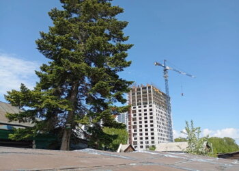 В Новосибирске осудили преступников, укравших сотни миллионов у дольщиков
