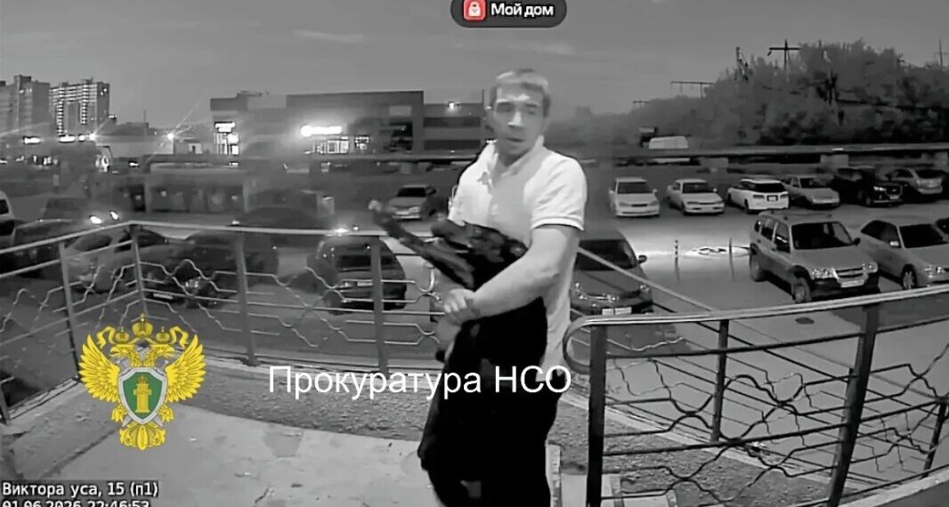 В Новосибирске задержан подозреваемый, натравивший собаку на прохожего