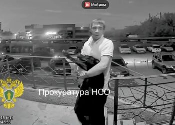 В Новосибирске задержан подозреваемый, натравивший собаку на прохожего