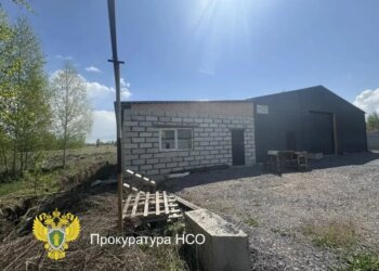 В Новосибирской области мужчина предстанет перед судом за незаконное подключение к газопроводу