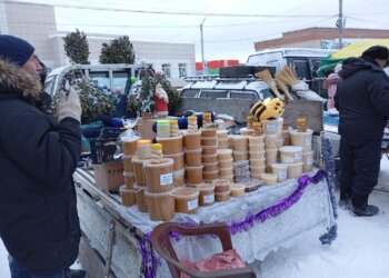 «Единое окно» для всех: в Новосибирске ввели новую услугу для малого бизнеса