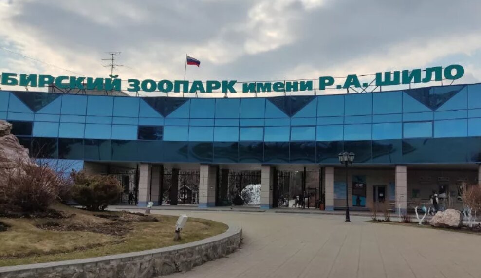 Белые медведи Кай и Герда переедут в новый комплекс «Арктика», который планируют открыть в 2027 году
