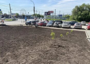 В Новосибирске стартовало благоустройство Зыряновской