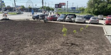 В Новосибирске стартовало благоустройство Зыряновской