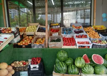 В Новосибирске начали дешеветь клубника и дорожать черешня
