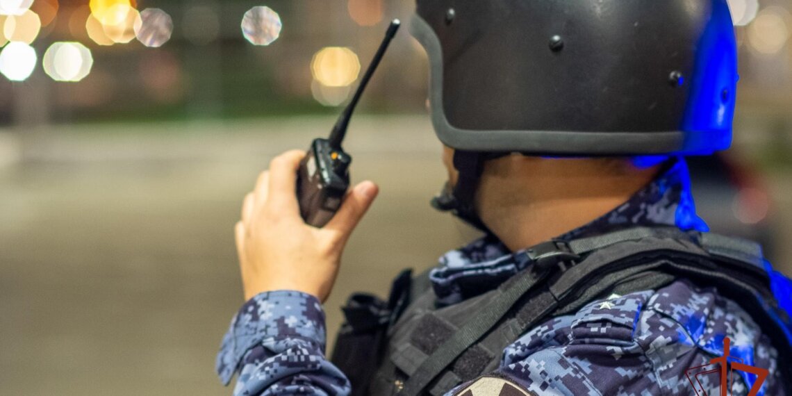 Гранату нашли у детского лагеря под Новосибирском