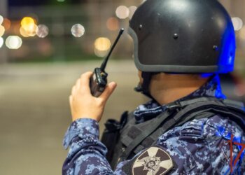Гранату нашли у детского лагеря под Новосибирском