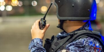 Гранату нашли у детского лагеря под Новосибирском