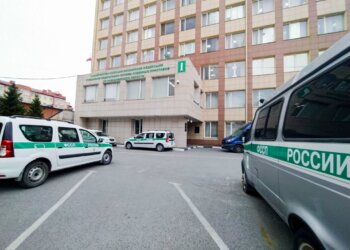 Новосибирец выплатил 200 тысяч алиментов ради поездки в Грузию