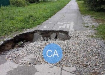 После дождя в новосибирском Академгородке зафиксировано падение деревьев и образование провала