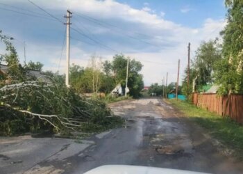 44 населённых пункта в Алтайском крае остались без света из-за урагана