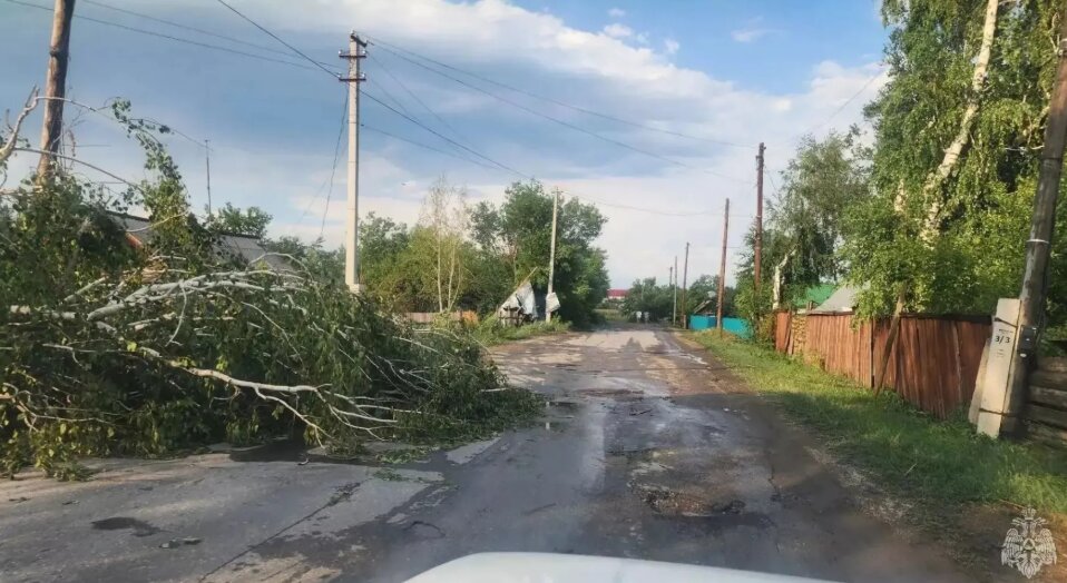 44 населённых пункта в Алтайском крае остались без света из-за урагана