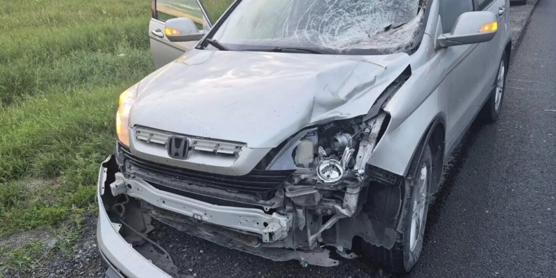 Водитель Honda насмерть сбил пешехода на трассе Новосибирск — Павлодар