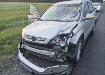 Водитель Honda насмерть сбил пешехода на трассе Новосибирск — Павлодар