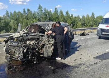 Лоб в лоб с грузовиком: под Новосибирском разбился водитель Mitsubishi