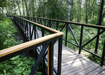 Стало известно, когда в Новосибирске откроется затапливаемый парк «Каменка»