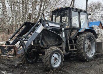 Лошадь на трассе: в Доволенском районе взыскали ущерб от ДТП с участием животного