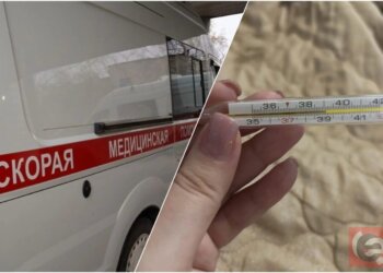 В Новосибирске ребёнок с высокой температурой не дождался скорой помощи