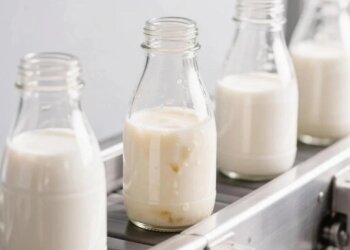 В Новосибирске изъято более 800 кг некачественной молочной продукции