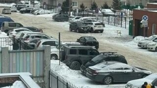 В Новосибирске осудили исполнителей похищения ребёнка, увезённого в Австралию отцом