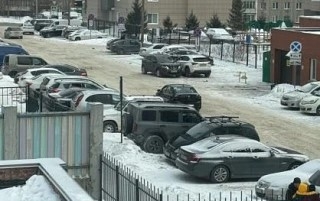 В Новосибирске осудили исполнителей похищения ребёнка, увезённого в Австралию отцом
