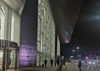 Чемоданы пошли в гору: импорт багажа в Сибирь вырос почти на 40%