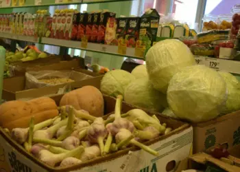 В России могут временно отменить штрафы для поставщиков продуктов из-за топливного кризиса