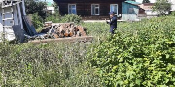 Соседи в Маслянино судились из-за забора и построек — одному придётся заплатить 9000 рублей