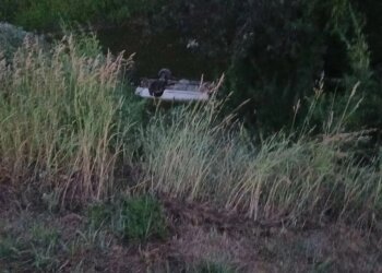 Смертельный выезд со двора: водитель «Жигулей» рухнул в овраг и утонул в реке под Сузуном