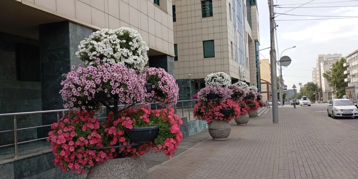 Одну из центральных улиц Новосибирска сузят более чем на месяц