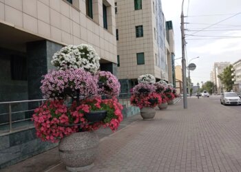 Одну из центральных улиц Новосибирска сузят более чем на месяц