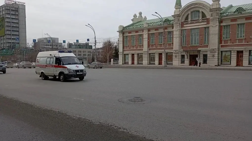Более двух тысяч беременных новосибирских женщин ежемесячно обращаются за поддержкой